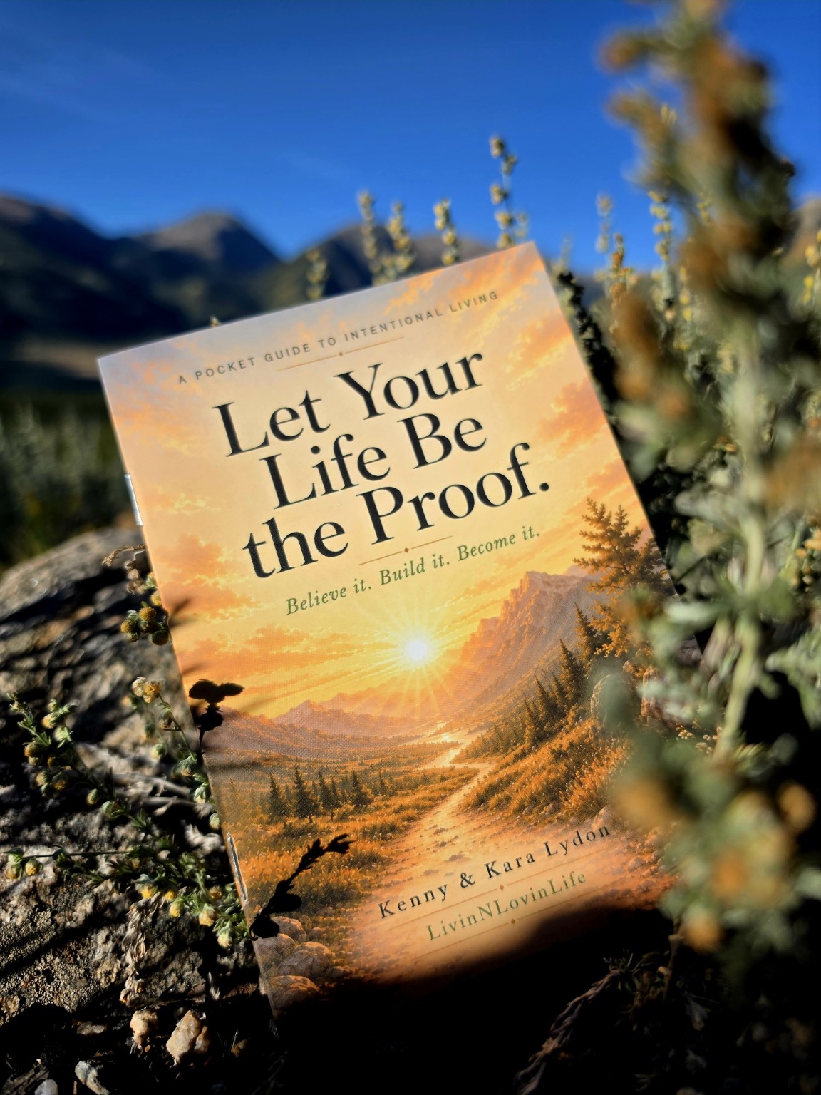 Let Your Life Be the Proof among alpine plants at Twin Lakes